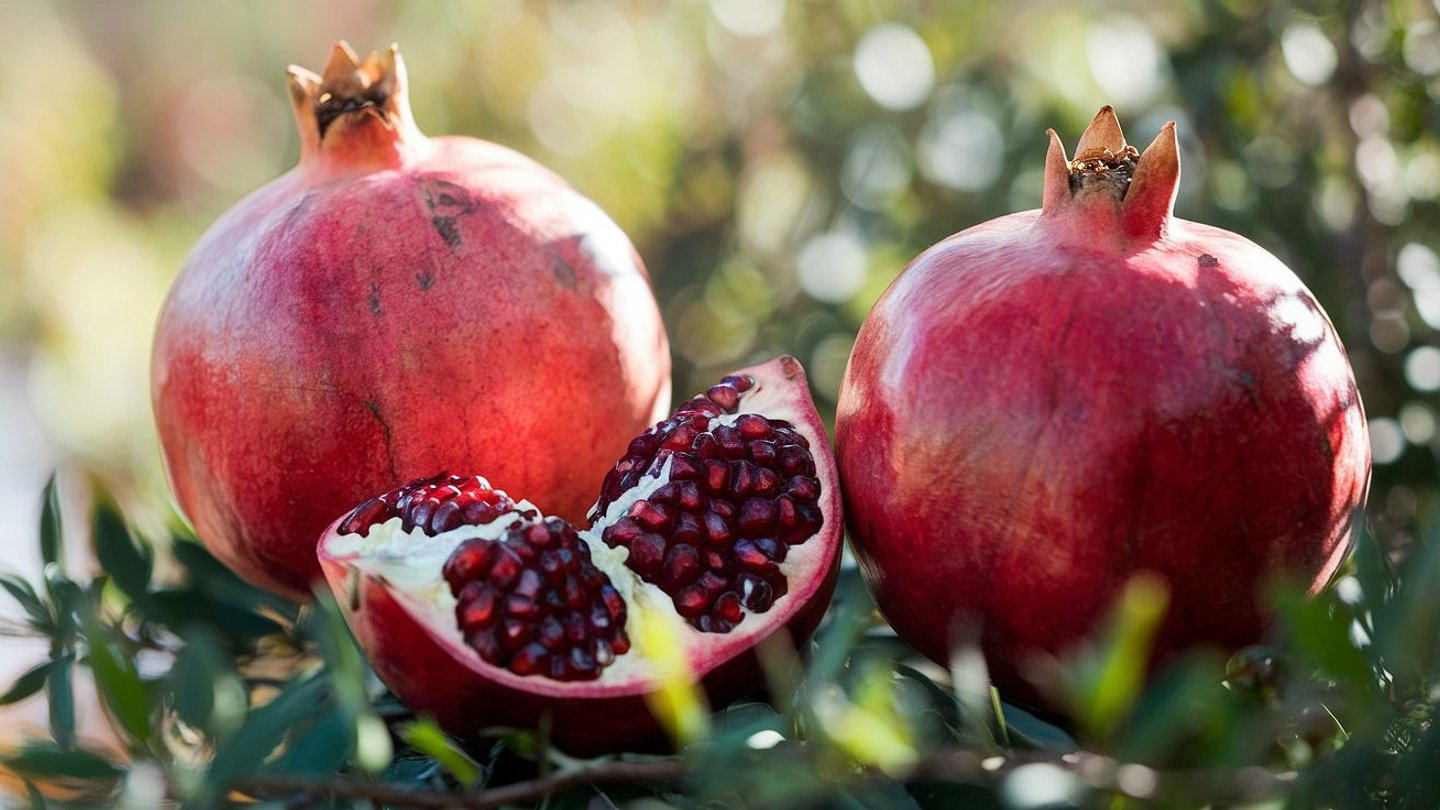 Creating A Travel Guide ESL Lesson Plan Twee creating-a-travel-guide-esl-lesson-plan-twee