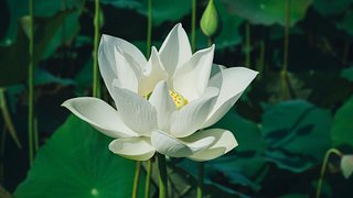'The White Lotus': Wealth, Privilege, and Social Behavior