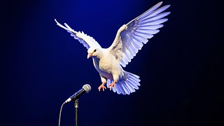 A Grammy Moment: Animals in Live Performances