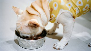 Following Simple Instructions