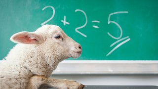 Shopping Math Challenge
