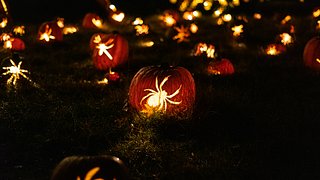 Let's Decorate the House for Halloween!